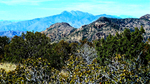 2013-03-14 :1: Iron Mountain - Tonto NF :: FLYING_FLIVER