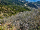 2013-03-14 :1: Iron Mountain - Tonto NF :: FLYING_FLIVER
