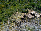 2013-03-14 :1: Iron Mountain - Tonto NF :: FLYING_FLIVER