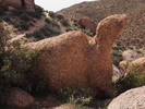 photo thumbnail #7
