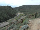 photo thumbnail #1