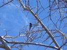 photo thumbnail #13