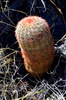 photo thumbnail #4