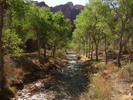 photo thumbnail #8