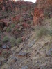 photo thumbnail #11