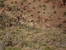photo thumbnail #14
