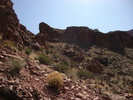 photo thumbnail #15