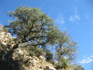 photo thumbnail #9