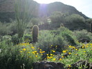 photo thumbnail #4