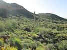 photo thumbnail #5