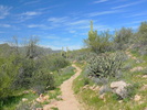 photo thumbnail #9