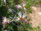 photo thumbnail #14