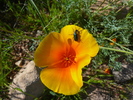 photo thumbnail #15