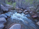 photo thumbnail #5