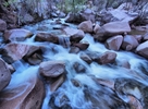 photo thumbnail #10