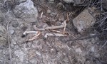 photo thumbnail #6