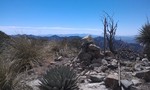 photo thumbnail #9