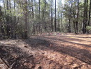 photo thumbnail #4