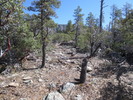 photo thumbnail #8