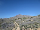 photo thumbnail #7