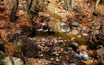 photo thumbnail #1