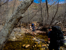 photo thumbnail #2