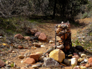 photo thumbnail #3