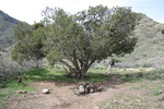 photo thumbnail #4