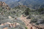 photo thumbnail #5