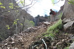 photo thumbnail #12