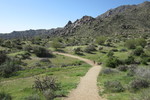 photo thumbnail #1