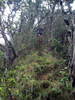 photo thumbnail #12