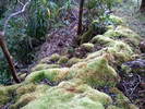 photo thumbnail #15