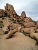 photo thumbnail #13