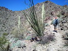 photo thumbnail #4