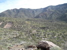 photo thumbnail #7