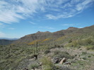 photo thumbnail #9