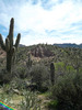 photo thumbnail #12
