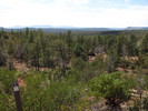 photo thumbnail #7