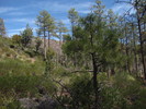 photo thumbnail #8