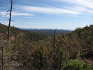 photo thumbnail #12