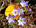 photo thumbnail #9