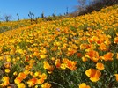photo thumbnail #12