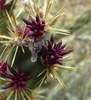 photo thumbnail #14