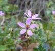 photo thumbnail #15