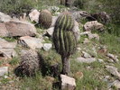 photo thumbnail #5