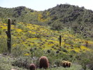 photo thumbnail #10