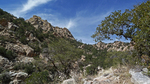 photo thumbnail #15