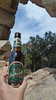 2013-03-16 :1: The Window via Ventana :: cindyl