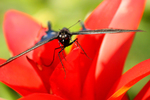 photo thumbnail #15